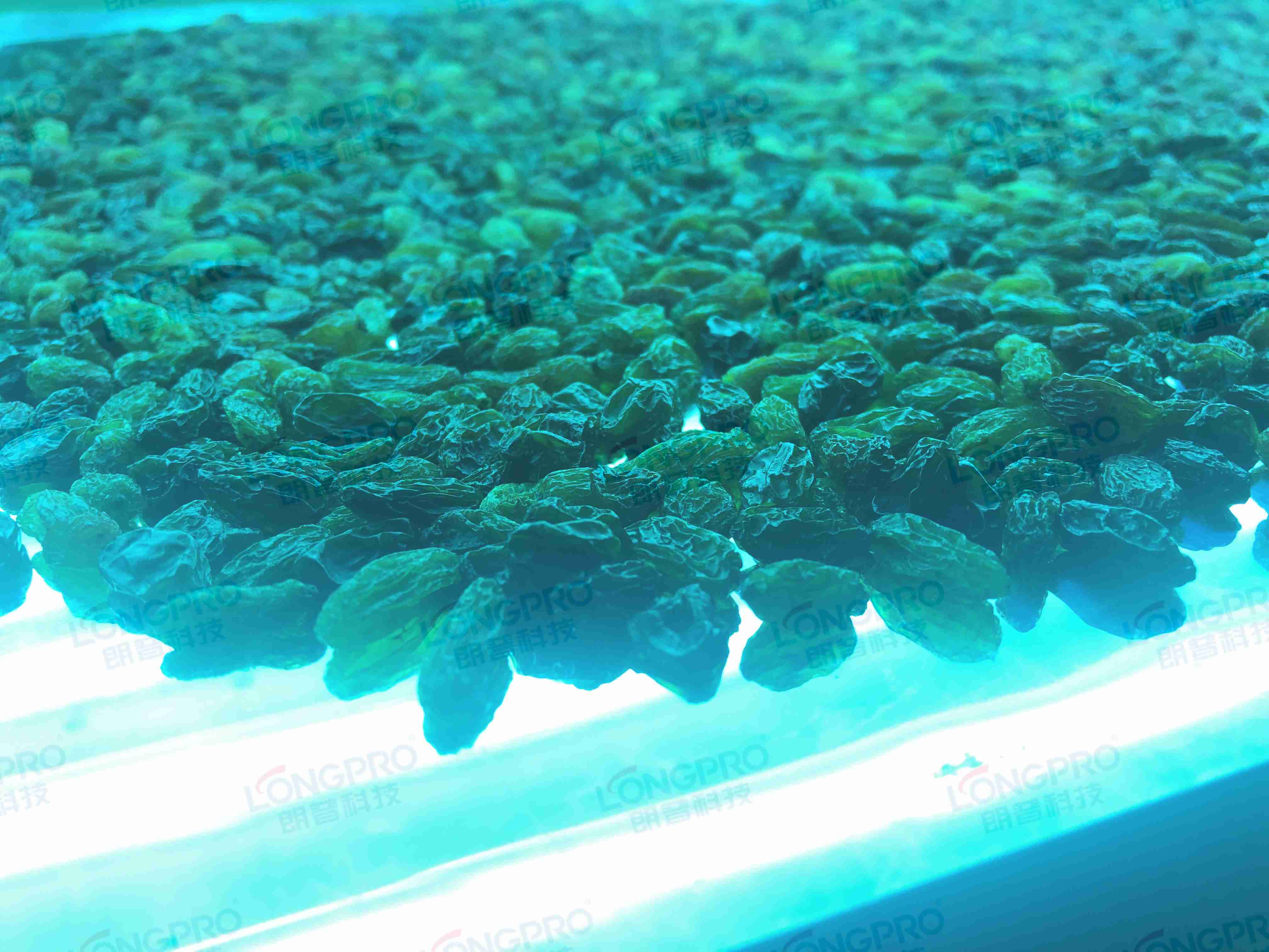 食品細(xì)菌超標(biāo)怎么解決？utf-8