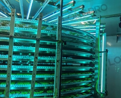 食品廠防爆紫外線殺菌燈：保障食品生產(chǎn)環(huán)境安全的利器！