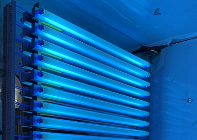 如何通過UV紫外光照實驗箱構(gòu)建動物皮膚光老化模型？